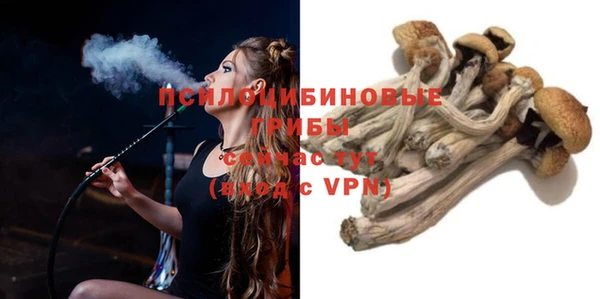 хмурый Белоозёрский