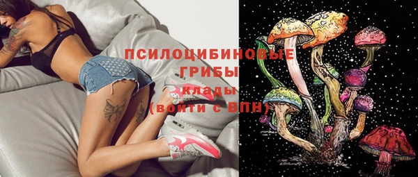 хмурый Белоозёрский