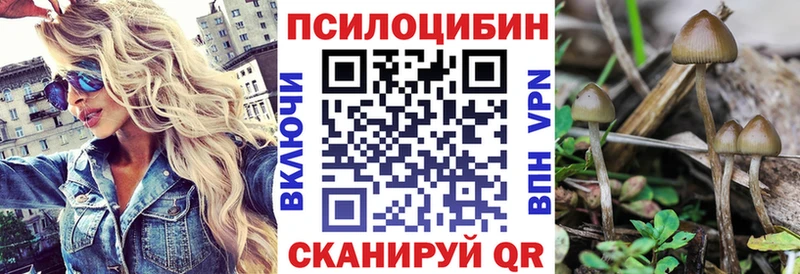 продажа наркотиков  Липецк  Галлюциногенные грибы мицелий 
